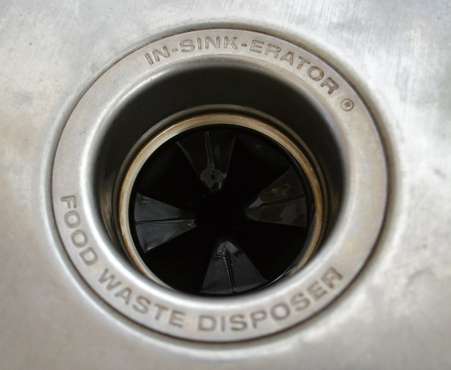 Why Does My Drain Smell Like Cabbage at John Zhou blog